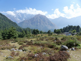 5 Alpine-moorland-ish