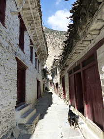6 Narrow streets of Marpha
