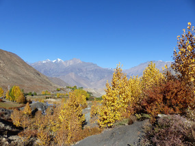 7 Beautiful autumnal colours on the way to Jharkot