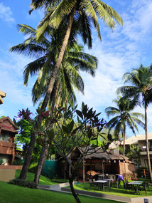 The hotel's grounds
