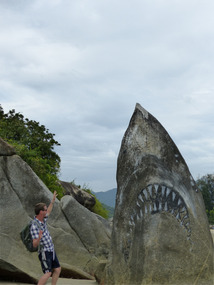 Shark!