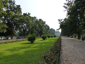 Gardens