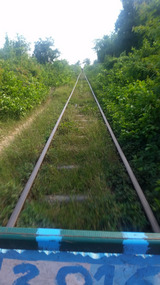 On the bamboo train