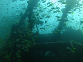 Fish soup on Bang Sak Wreck