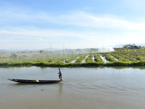 Floating gardens