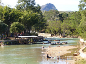 River bank life