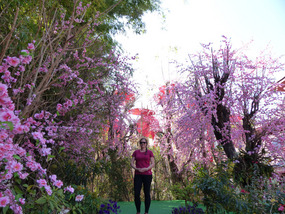 Jayna in Wat Phan Tao gardens