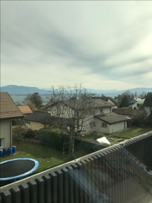 Views from train to Geneva