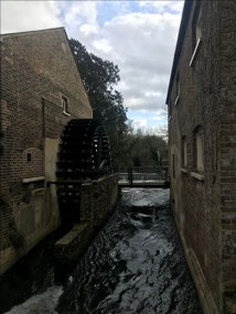 Morden Hall Park mill