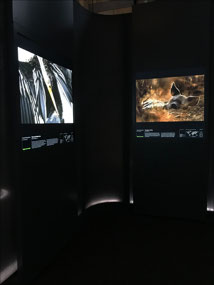 Wildlife photography exhibition