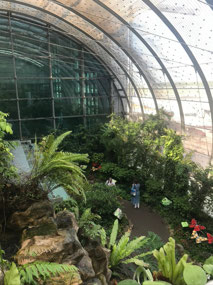 Singapore butterfly enclosure
