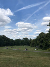 Greenwich picnic