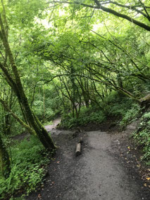 Steep path down to the waterfall