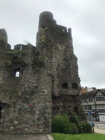 Swansea castle