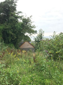 Abandoned house