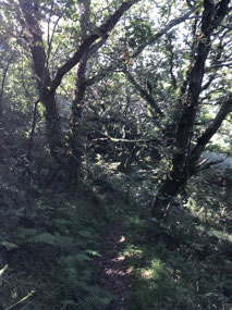 The ‘shortcut’ walk