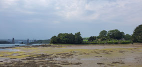 Church Island (tide's out)
