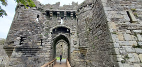 Drawbridge gate