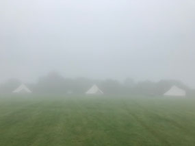 Foggy morning
