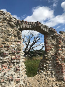 Baconsthorpe Castle arches