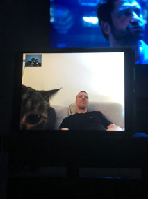 Rachel & Stu's cat joining in the movie night