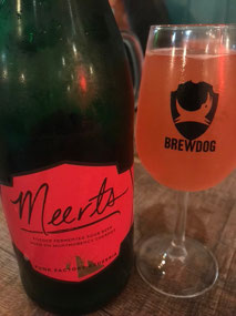 BrewDog tasting