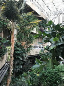 Barbican conservatory