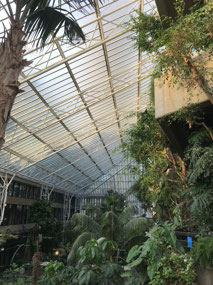 Barbican Conservatory