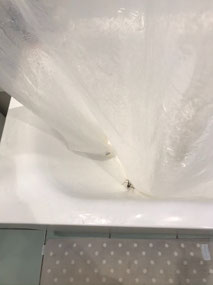 Bath spider