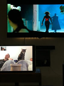 The cat judging our movie choices