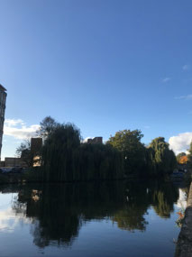 Walks along canal to Victoria Park