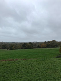 The Battlefield
