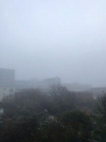 Morning fog at 7:45am