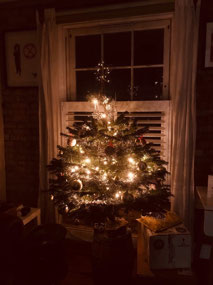 Christmas tree festivity