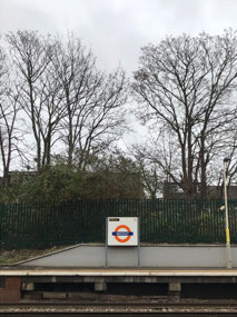 Heading home in (wintery) daylight for end of term