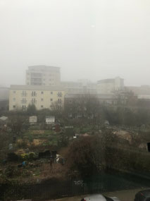 Foggy days