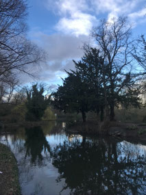 Walk around the lake