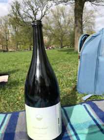 Beers in the park