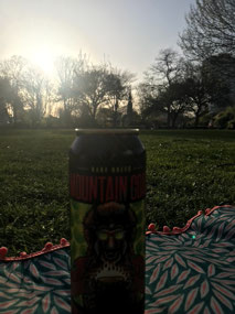 Evening picnics in the park