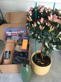 My latest arrival in my plant box!