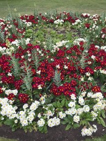 Flower Garden in Greenwick Park