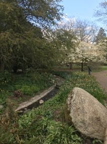 Sensory garden