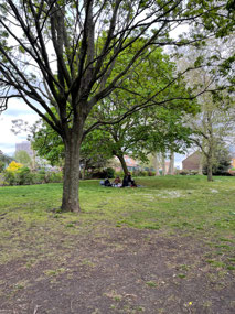 Successful picnic