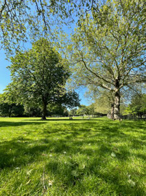 Picnics in the park!