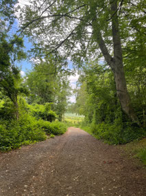 Walk to the Roman villa