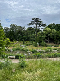 The dinosaurs at Crystal Palace Park again