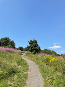Walk up Mote Hill