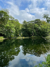 Lovely river views