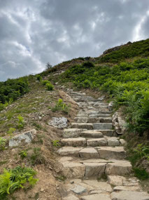 The steps...