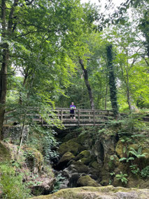 Waterfall bridges
